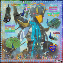 a picture of a peacock with the words it 's just asinine