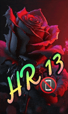 a picture of a red rose with the words hr13 on it
