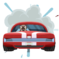 a pug driving a red ford mustang with smoke coming out of it