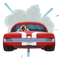a pug driving a red ford mustang with smoke coming out of it