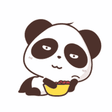 eating panda relaxing chilling hungry