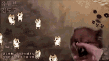 Dog Doge GIF - Dog Doge Snk GIFs