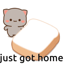 a cat is sitting on top of a piece of bread with the words just got home written below it