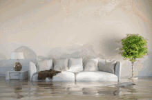Restoration Companies In Holbrook Water Damage Restoration Long Island GIF - Restoration Companies In Holbrook Water Damage Restoration Long Island GIFs