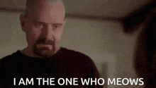 a man with a beard is saying `` i am the one who meows '' in a room .