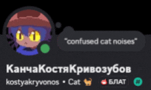 a picture of a cat with the words " confused cat noises "