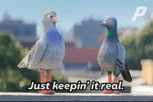 Keepin It Real Pigeons GIF