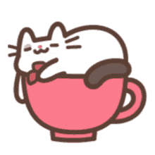 lazy lazy