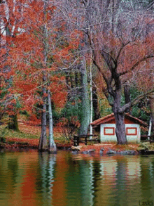 A Beautiful Nature Picture Nature GIF - A Beautiful Nature Picture Nature Lake GIFs