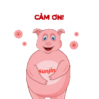 Sunjin Cảm ơn Sunjin Thank You Sticker - Sunjin Cảm ơn Sunjin Thank You Pig Sunjin Thank You Stickers