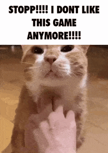 Stop Stop It GIF