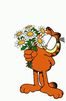 garfield cute cat flowers for you