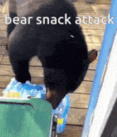 a picture of a bear with the words bear snack attack