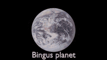 Bingus Planet Weird GIF - Bingus Planet Weird Bingus GIFs