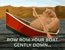 Boating Canoeing GIF - Boating Canoeing Cat GIFs