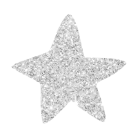 a silver star on a white background that looks like it is made of glitter