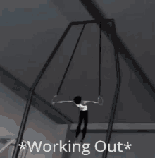 Real Robin Working Out GIF - Real Robin Working Out Sweat GIFs