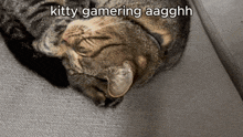 a cat is laying on a couch with the words kitty gaming aagghhh above it