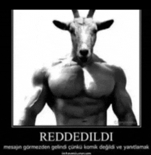 a black and white photo of a goat with the words reddedildi on the bottom right