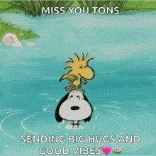 a cartoon of snoopy and woodstock in the water with the caption miss you tons