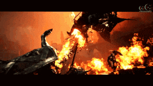 a video game screen shows a dragon being attacked by another dragon