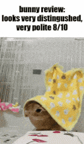 a bunny wearing a yellow blanket with the caption bunny review : looks very distinguished very polite 8/10