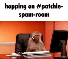 Patch Patchie Spam GIF - Patch Patchie Spam Kaperoo GIFs
