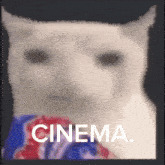 a white cat is holding a bag that says cinema on it