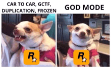 two pictures of a dog with a r logo on it