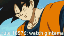 Goku Rule18576 GIF - Goku Rule18576 Gintama GIFs