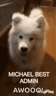 Michael Best GIF - Michael Best Admin GIFs