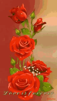 Beautiful Roses GIF - Beautiful Roses Colors GIFs