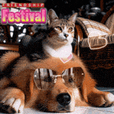 a cat is laying on top of a dog wearing sunglasses with the words festival friendship behind them