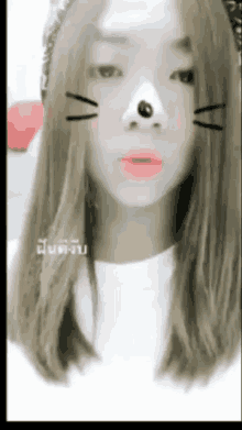 a girl with a cat nose is wearing a white shirt and a hat