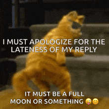 a cat wearing sunglasses says i must apologize for the lateness of my reply