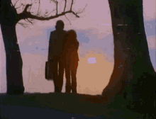 a silhouette of a man and a woman standing under trees