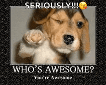 Cherryfurby Whos Awesome Youre Awesome GIF