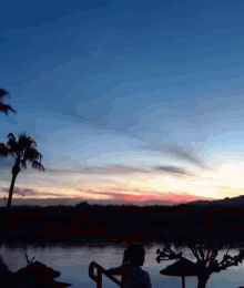 My Baby Sunsets GIF - My Baby Sunsets Vacation GIFs