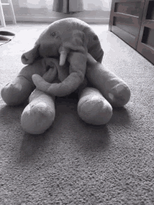 Bebe Elephant GIF - Bebe Elephant Grey GIFs