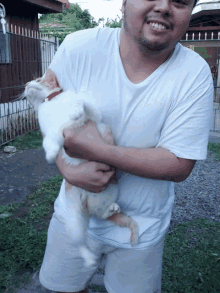 a man holding a white cat with a red collar