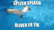 Swim Oliver GIF - Swim Oliver Splish Splash GIFs