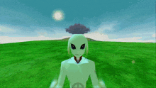 a video game character stands in a grassy field