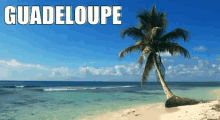 Guadeloupe GIF