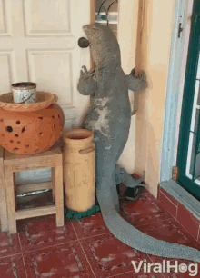 Im Here Ding Dong GIF - Im Here Ding Dong At The Door GIFs