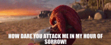 Sonic Movie2 Knuckles GIF - Sonic Movie2 Knuckles How Dare You Attack Me In My Hour Of Sorrow GIFs