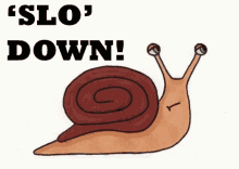 Slo Down GIF - Slow Down Snail GIFs