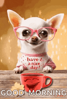 a chihuahua wearing glasses and a shirt that says " have a nice day " sits next to a cup of coffee