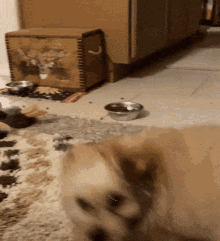 Wtf Huh GIF - Wtf Huh What The Heck GIFs