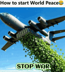 Stop War Peace GIF - Stop War Peace Weed GIFs