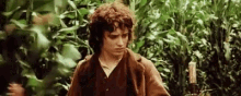 Frodo Baggins Lotr GIF - Frodo Baggins Lotr Fail GIFs